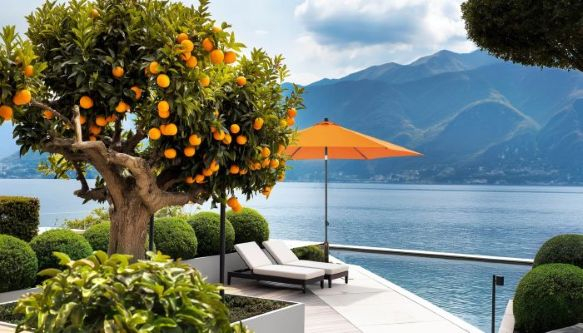 Center pole umbrella - banner